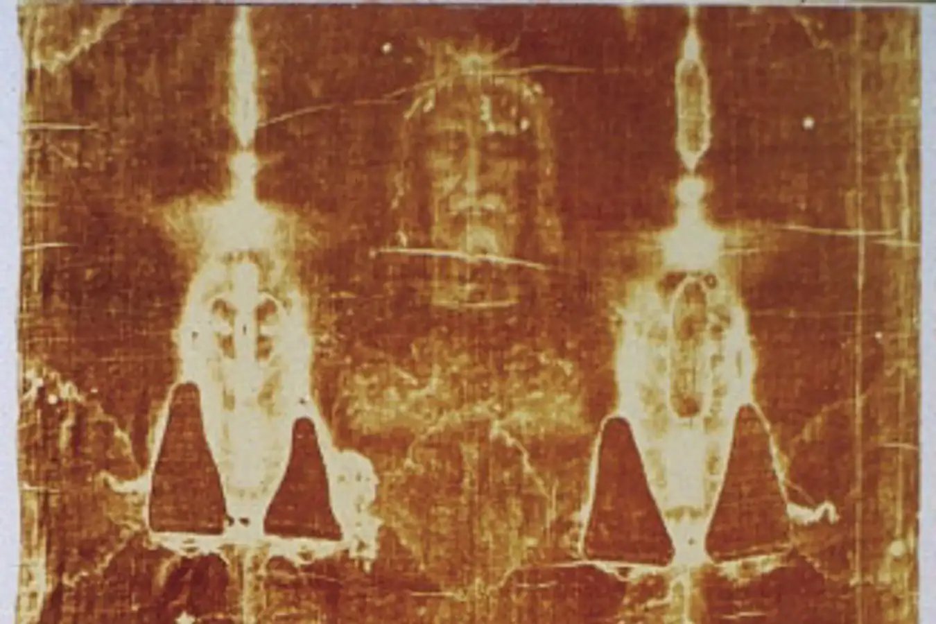 The Shroud of Turin contains DNA from many people, plants and animals
